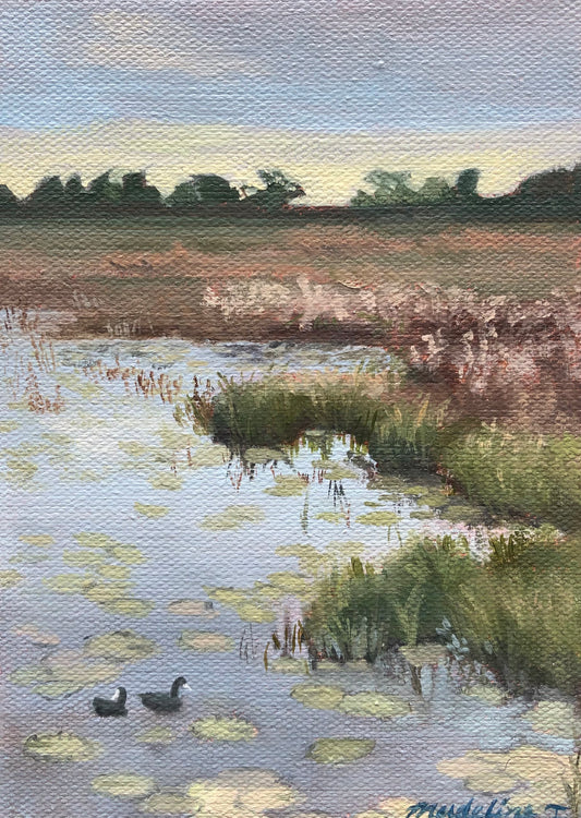 Florida Marsh print 5x7